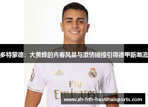 多特蒙德:大黄蜂的青春风暴与激情碰撞引领德甲新潮流 多特蒙德:大黄蜂的青春风暴与激情碰撞引领德甲新潮流
